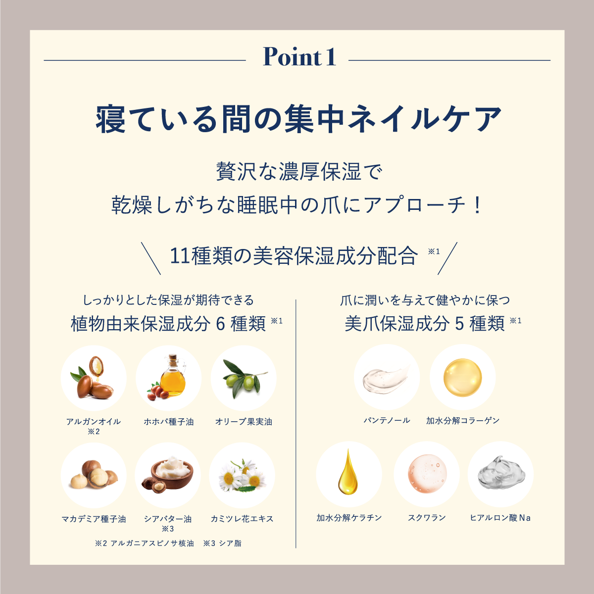 ビーエヌ 秋のおすすめ商品 ネイルオイル 寝ている間の爪ケア モイストネイルオイル
